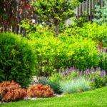 garden pest identification guide