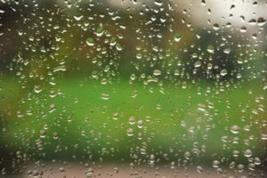 Condensation Around Windows: Maintenance Checks That Help